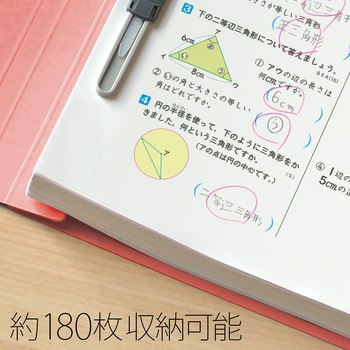 ねんくみなまえ フラットファイル PLUS(プラス)[文具]