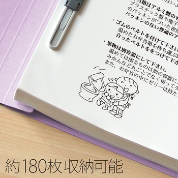 年組氏名 フラットファイル PLUS(プラス)[文具]