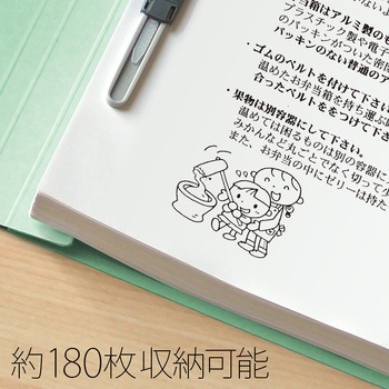 年組氏名 フラットファイル PLUS(プラス)[文具]