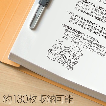 年組氏名 フラットファイル PLUS(プラス)[文具]