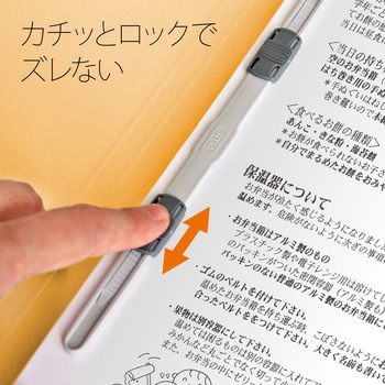 年組氏名 フラットファイル PLUS(プラス)[文具]