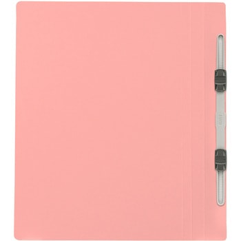 年組氏名 フラットファイル PLUS(プラス)[文具]
