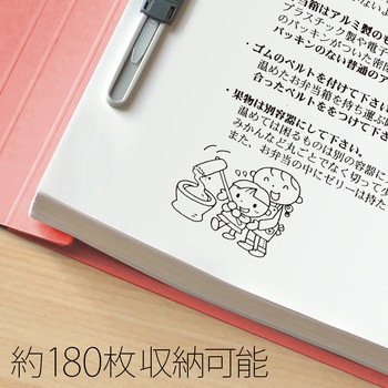 年組氏名 フラットファイル PLUS(プラス)[文具]