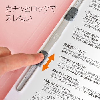 年組氏名 フラットファイル PLUS(プラス)[文具]