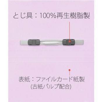 年組氏名 フラットファイル PLUS(プラス)[文具]