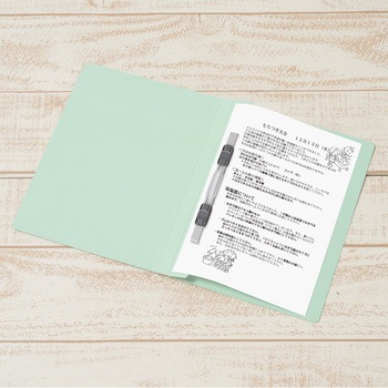 年組氏名 フラットファイル PLUS(プラス)[文具]
