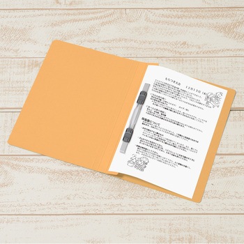 年組氏名 フラットファイル PLUS(プラス)[文具]