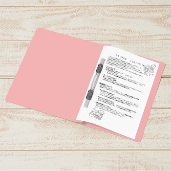 年組氏名 フラットファイル PLUS(プラス)[文具]