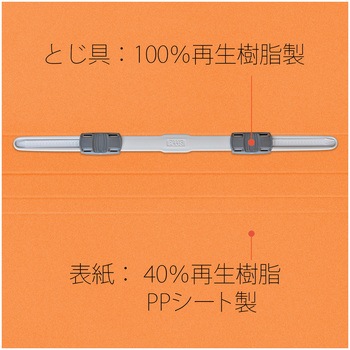 年組氏名 PP フラットファイル プラス(文具)