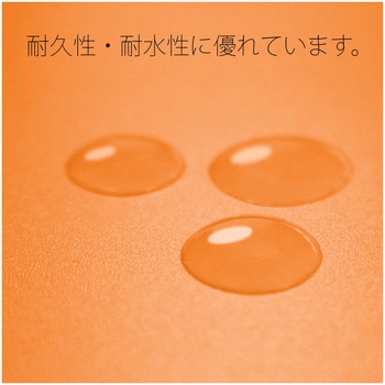 年組氏名 PP フラットファイル プラス(文具)