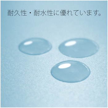 年組氏名 PP フラットファイル プラス(文具)