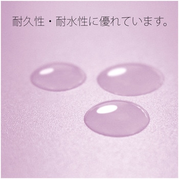 年組氏名 PP フラットファイル プラス(文具)