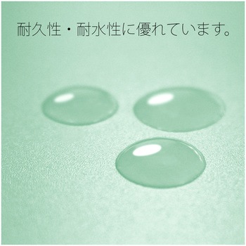 年組氏名 PP フラットファイル プラス(文具)