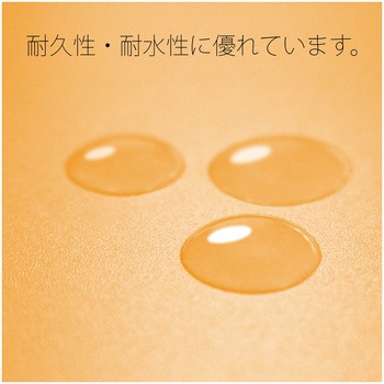 年組氏名 PP フラットファイル プラス(文具)