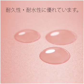 年組氏名 PP フラットファイル プラス(文具)