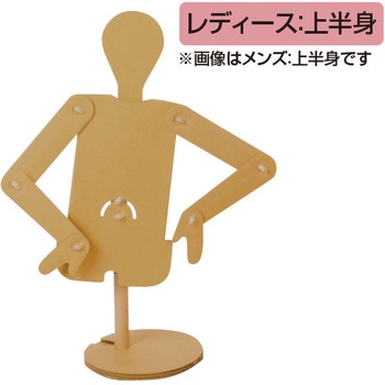 段ボールマネキン(レディース：上半身) 板野紙工