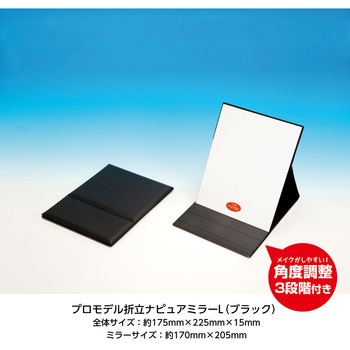 3倍拡大鏡付きプロモデル折立ナピュアミラー 堀内鏡工業