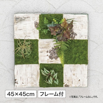 壁面アレンジ 45cmX45cm フレーム付 タカショー