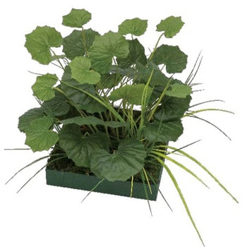 人工植物 山里セット ツワブキ タカショー