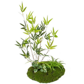 人工植物 苔山セット 笹 タカショー