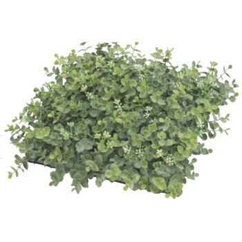 人工植物 ユーカリマット - タカショー