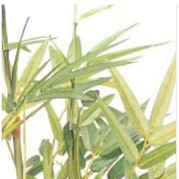 人工植物 黒竹 タカショー