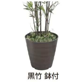 人工植物 黒竹 タカショー