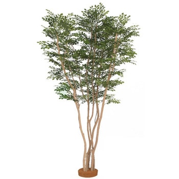 人工植物 トネリコ株立    2.2m タカショー
