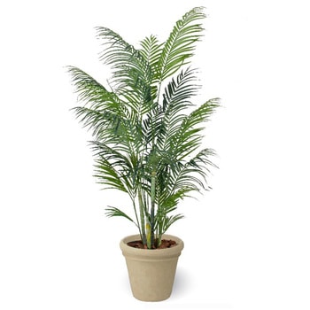 人工植物 アレカヤシ タカショー