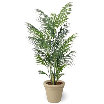人工植物 アレカヤシ タカショー
