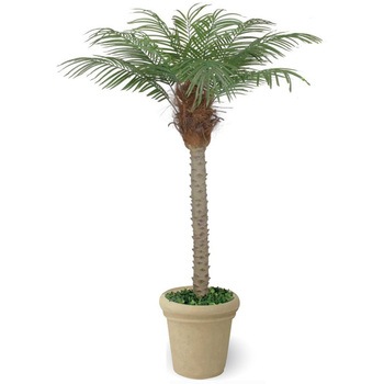 人工植物 フェニックス タカショー