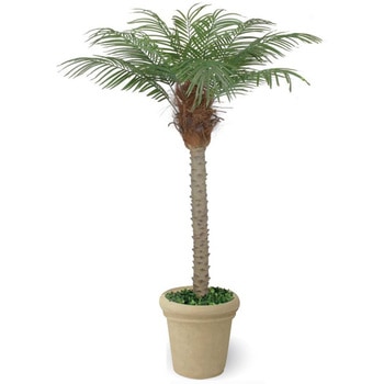 人工植物 フェニックス タカショー
