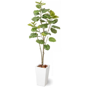 人工植物 ウンベラータ タカショー