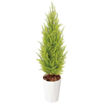 人工植物 ゴールドクレスト ゴールド タカショー