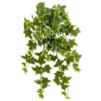 人工植物 オランダアイビー タカショー