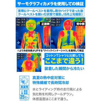 DI015ウェットクールベスト DAYTONA(デイトナ)