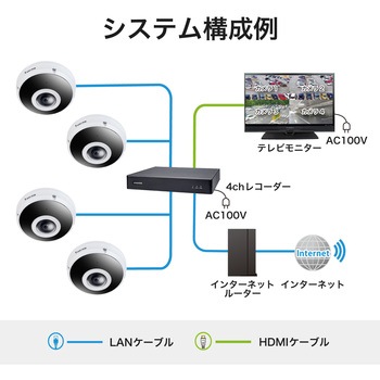 防犯カメラ 600万画素 魚眼 小型 防塵 防水 レンズ固定 夜間 IR搭載 保証3年 FE9382-EHV-V2 Vivotek