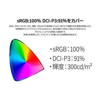 ゲーミング液晶ディスプレイ 23.8型/1920×1080/HDMI×2、DP/ブラック/スピーカー有/2年保証 JAPANNEXT