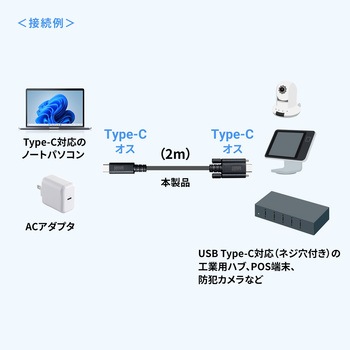USB TypeCケーブル USB 20Gbps デュアルスクリューロック サンワサプライ