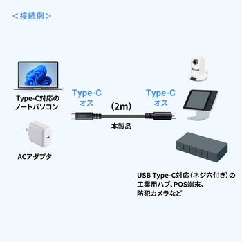 USB TypeCケーブル USB 20Gbps デュアルスクリューロック サンワサプライ