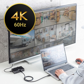 USB TypeCケーブル USB 20Gbps デュアルスクリューロック サンワサプライ