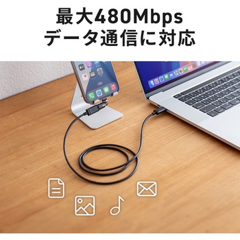 変換アダプタ USB2.0 PD240W対応 サンワサプライ