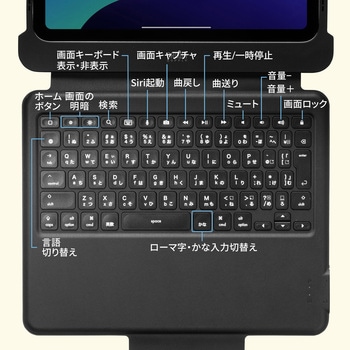 キーボード ケーブル USB Type-C/第10世代iPad10.9インチ用 サンワサプライ