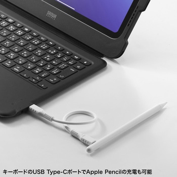 キーボード ケーブル USB Type-C/第10世代iPad10.9インチ用 サンワサプライ