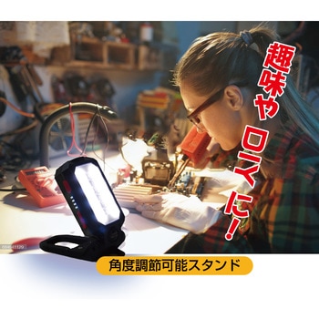 充電式ワークライト(カラビナ型) トレードワン