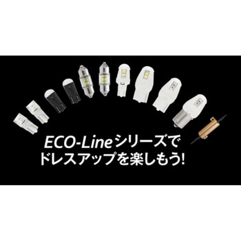 ECOLINE6500 T10 30LM PIAA