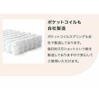 ベロアダイニングソファー セルタン