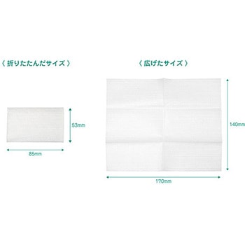メンテナンスペーパー 1パック Kenko(ケンコートキナー)