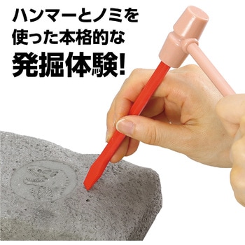 化石発掘キット トリケラトプス アーテック(学校教材・教育玩具)
