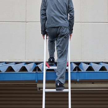 脚部伸縮 ノビ型 2連はしご ラクノリ 長谷川工業